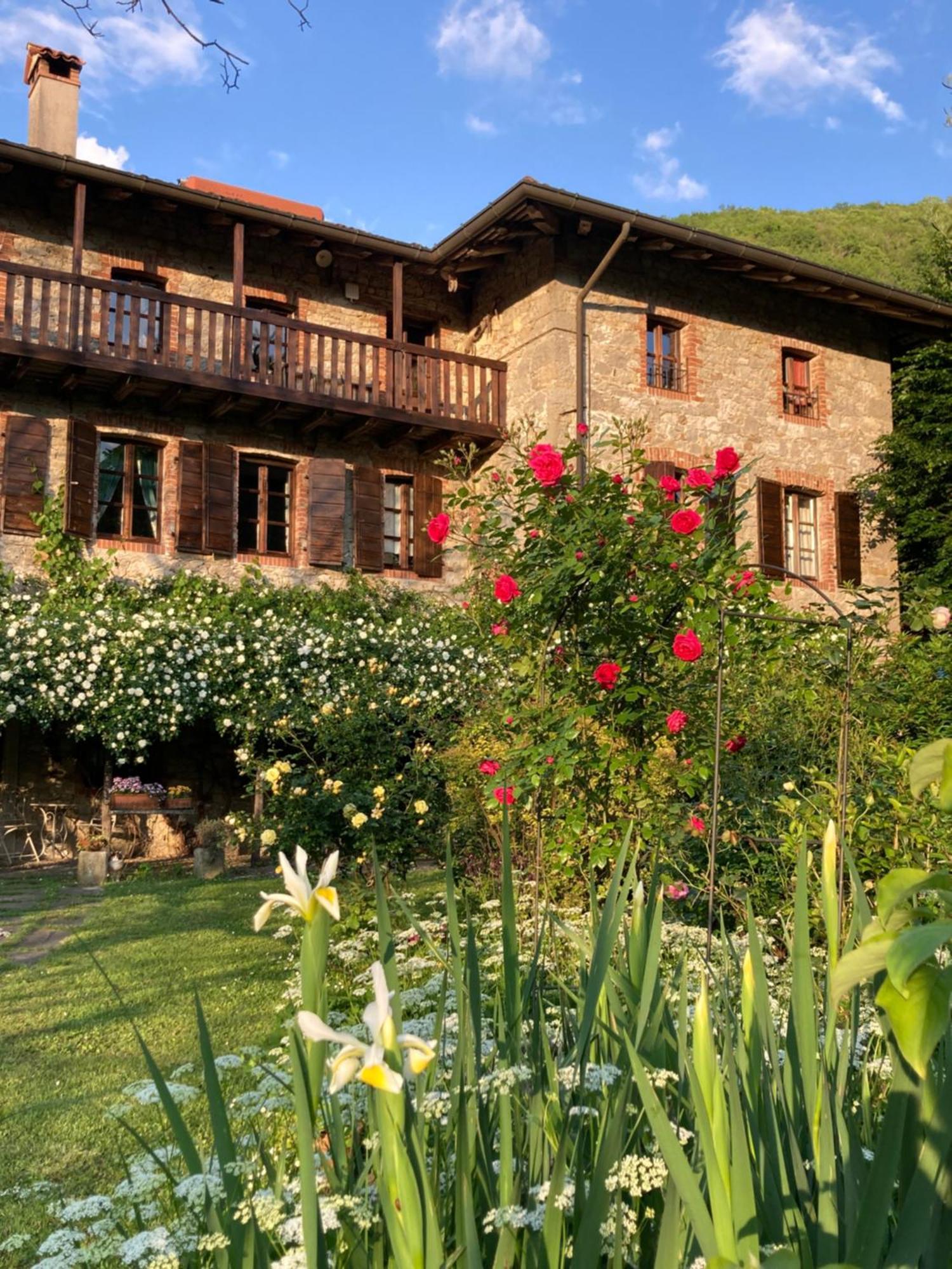Casa Del Grivo - Alloggio Sole Faedis Екстер'єр фото